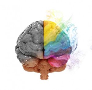 Creativity cerebral hemisphere concept