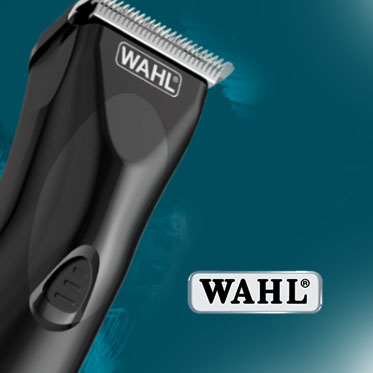 Wahl Brésil