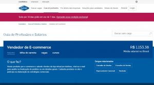 Quanto ganha um vendedor e-commerce segundo a Catho