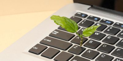 E-commerce sustentável: lucro com propósito